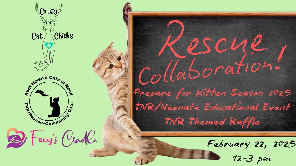 Prepare for Kitten Season 2025 TNR Neonate Educational Event