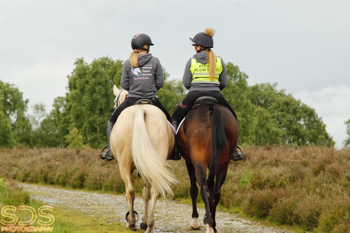 Cannock chase guided ride