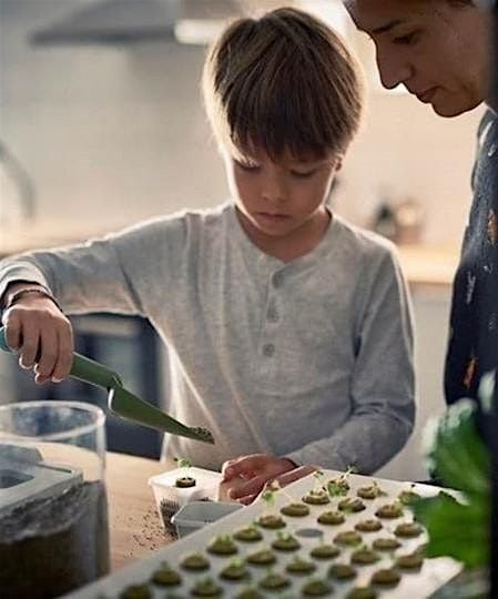 IKEA Little Growers Club