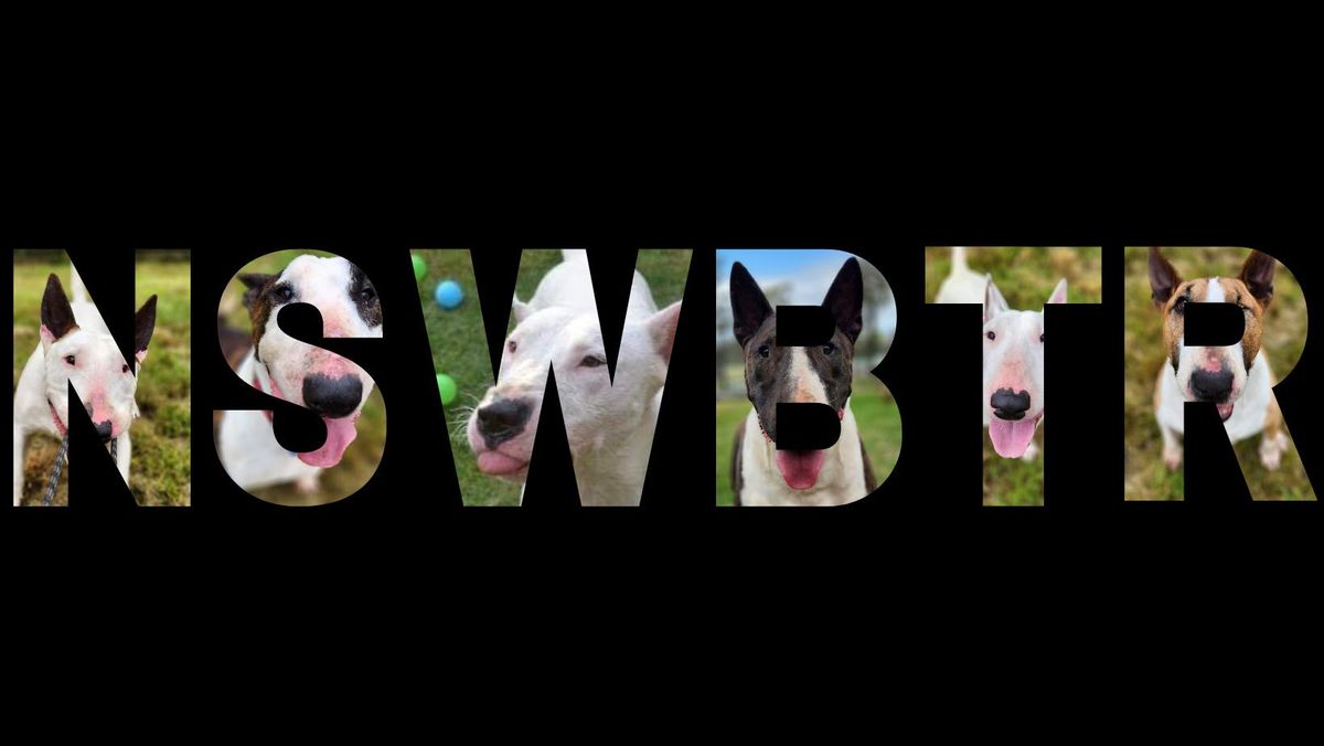 NSW Bull Terrier Rescue Fundraising Walk & Social Day