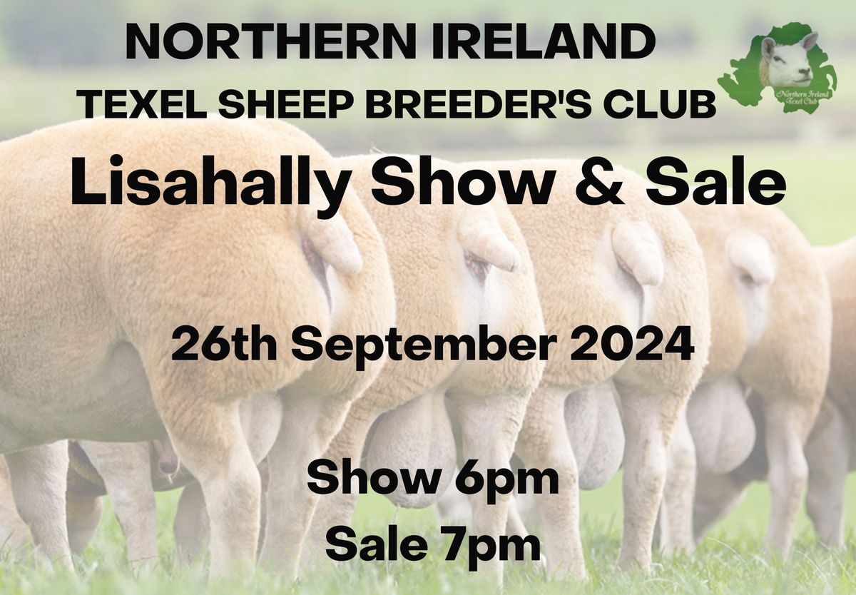 Lisahally Texel Show & Sale 2024