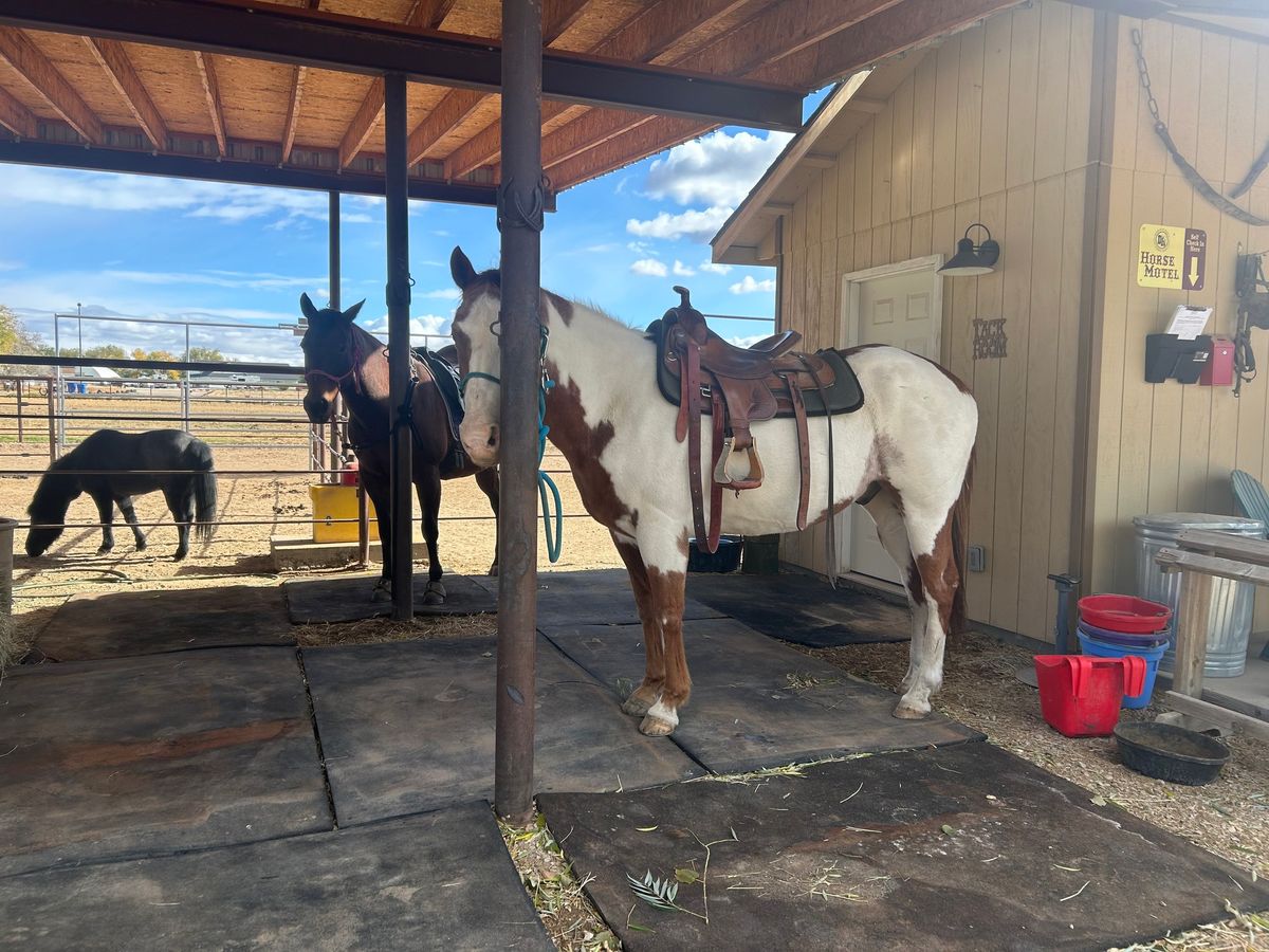 Saddle Fitting Class