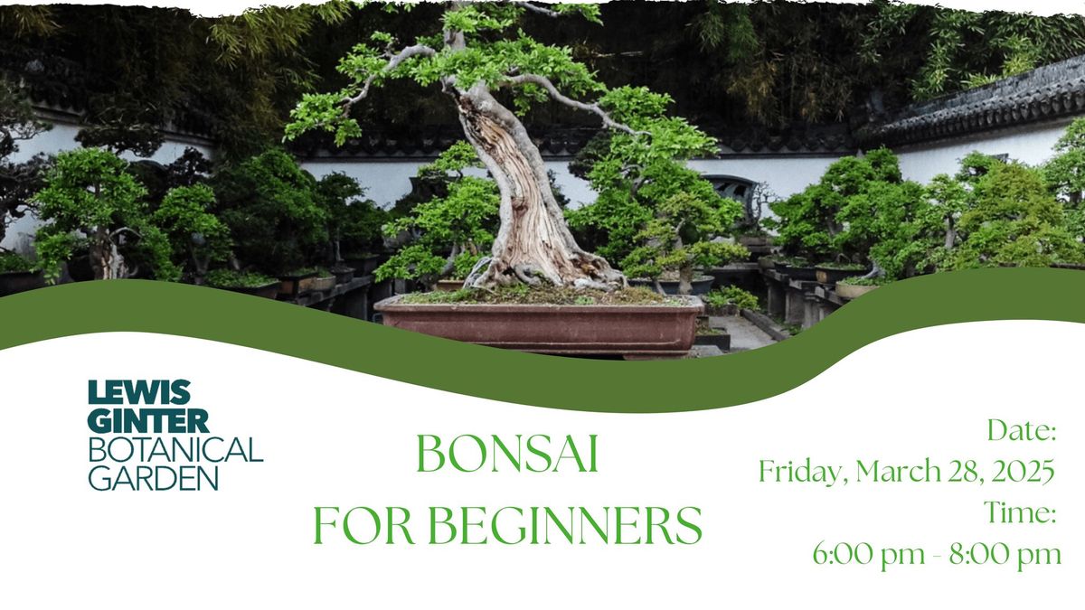 BONSAI FOR BEGINNERS