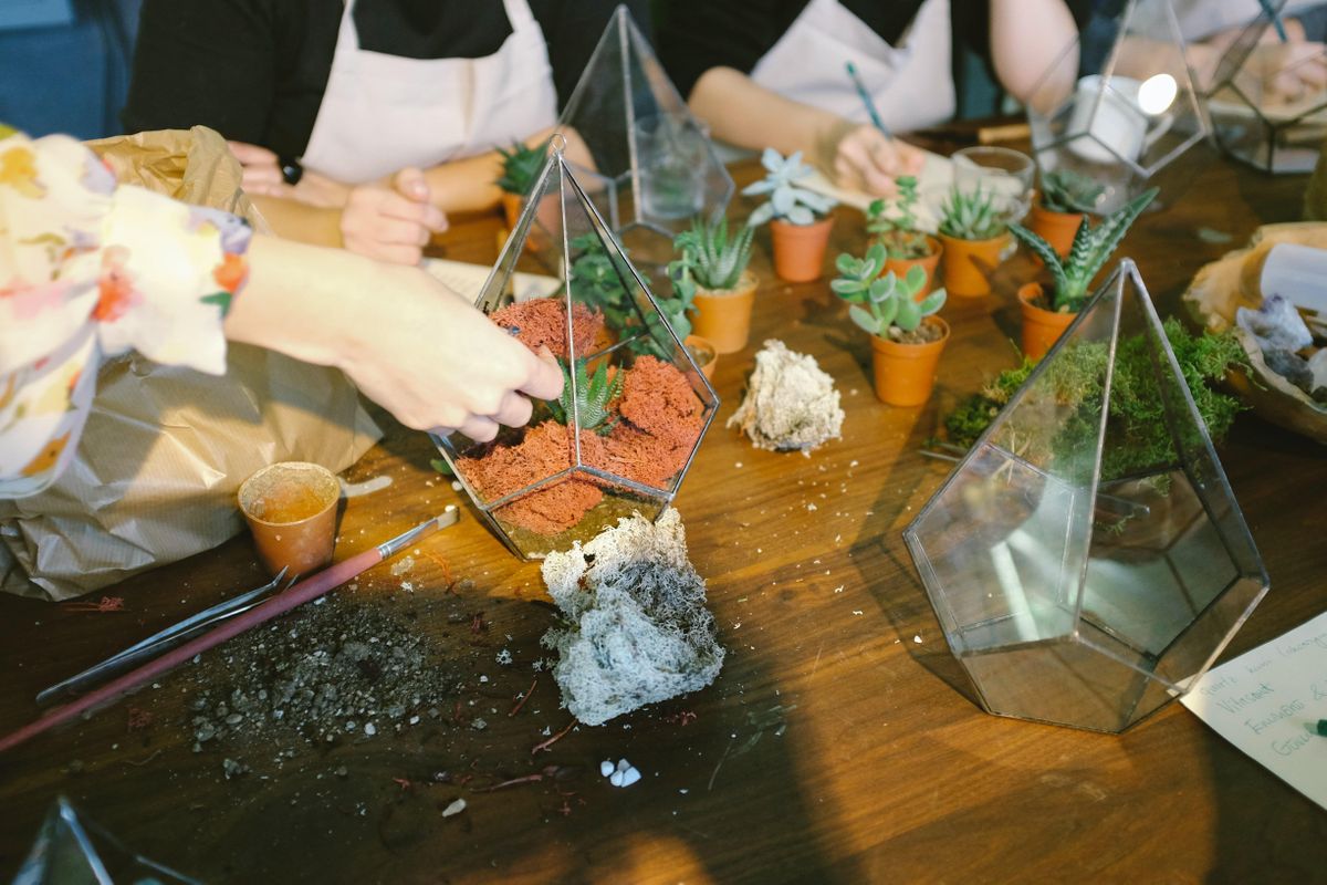 Terrarium Class