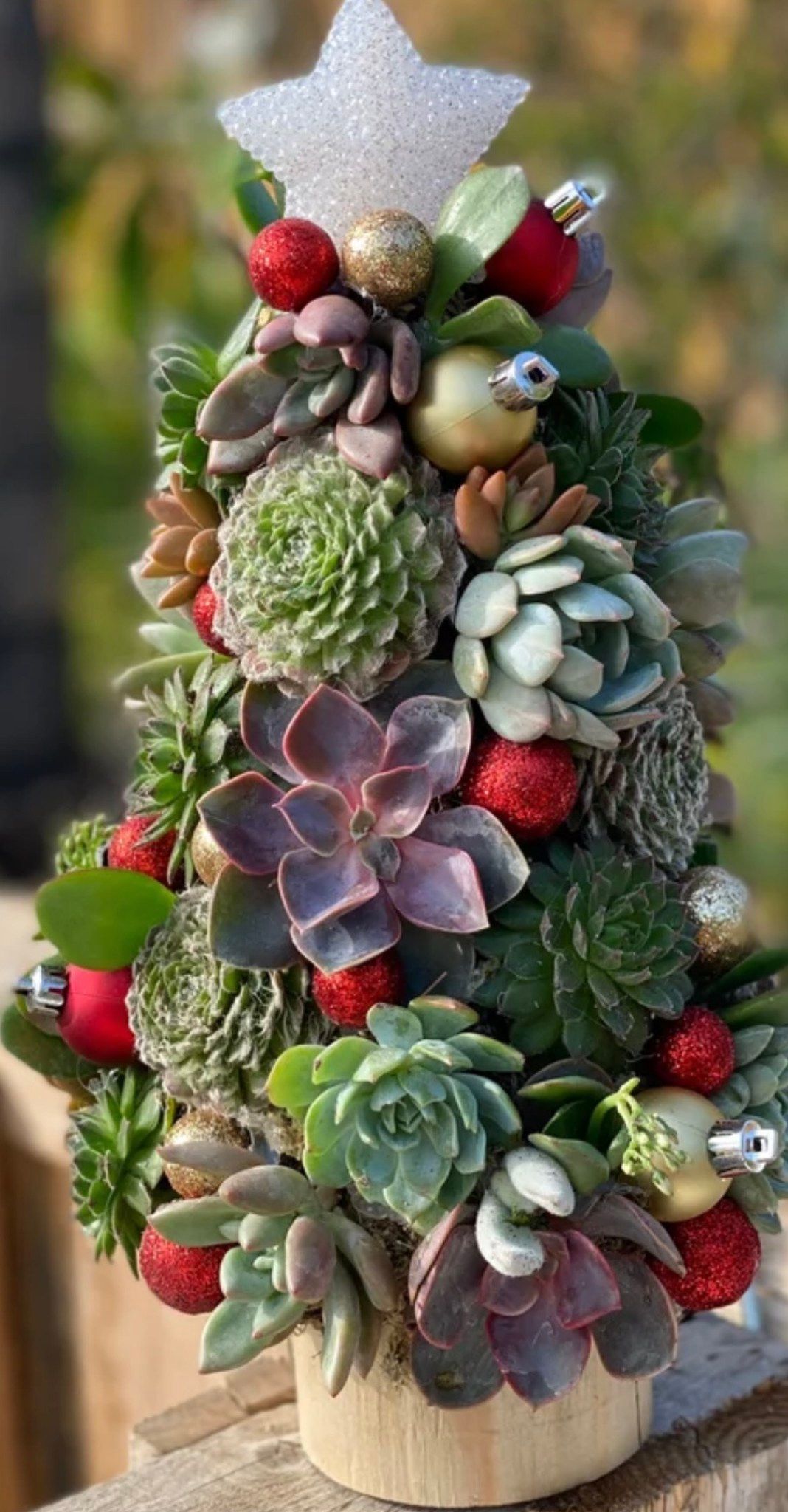 Wine & Design Succulent Christmas Tree