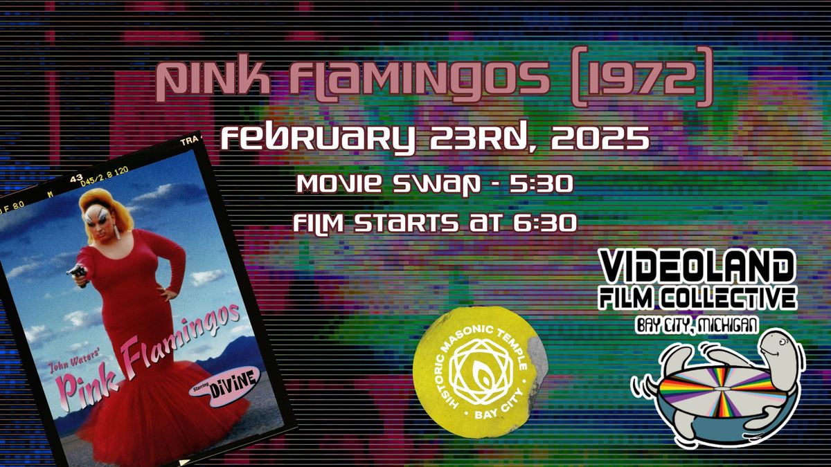 Videoland Presents: Pink Flamingos (1972)