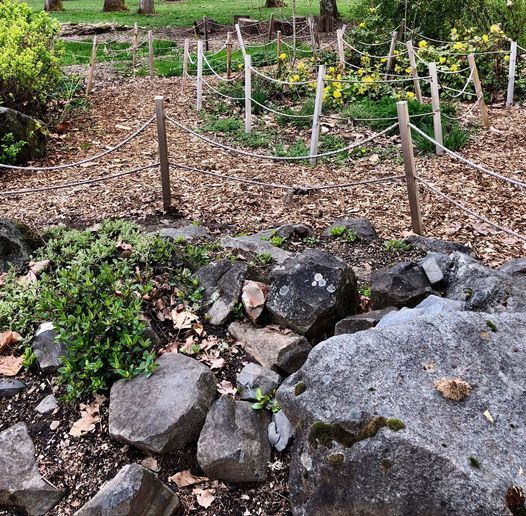 Avery Native Garden Work Party, Avery House Nature Center, Corvallis