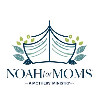 NOAH for MOMS