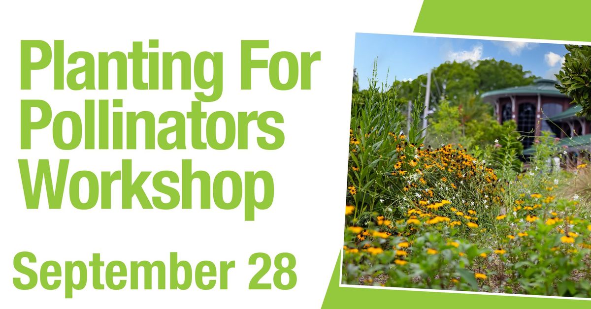 Planting For Pollinators Workshop