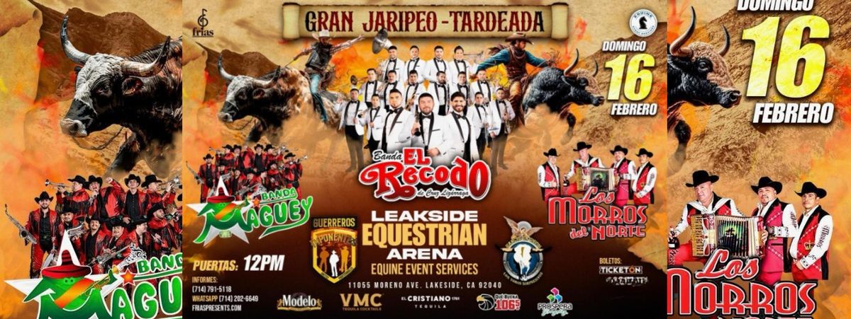 BANDA EL RECODO, BANDA MAGUEY & LOS MORROS DEL NORTE