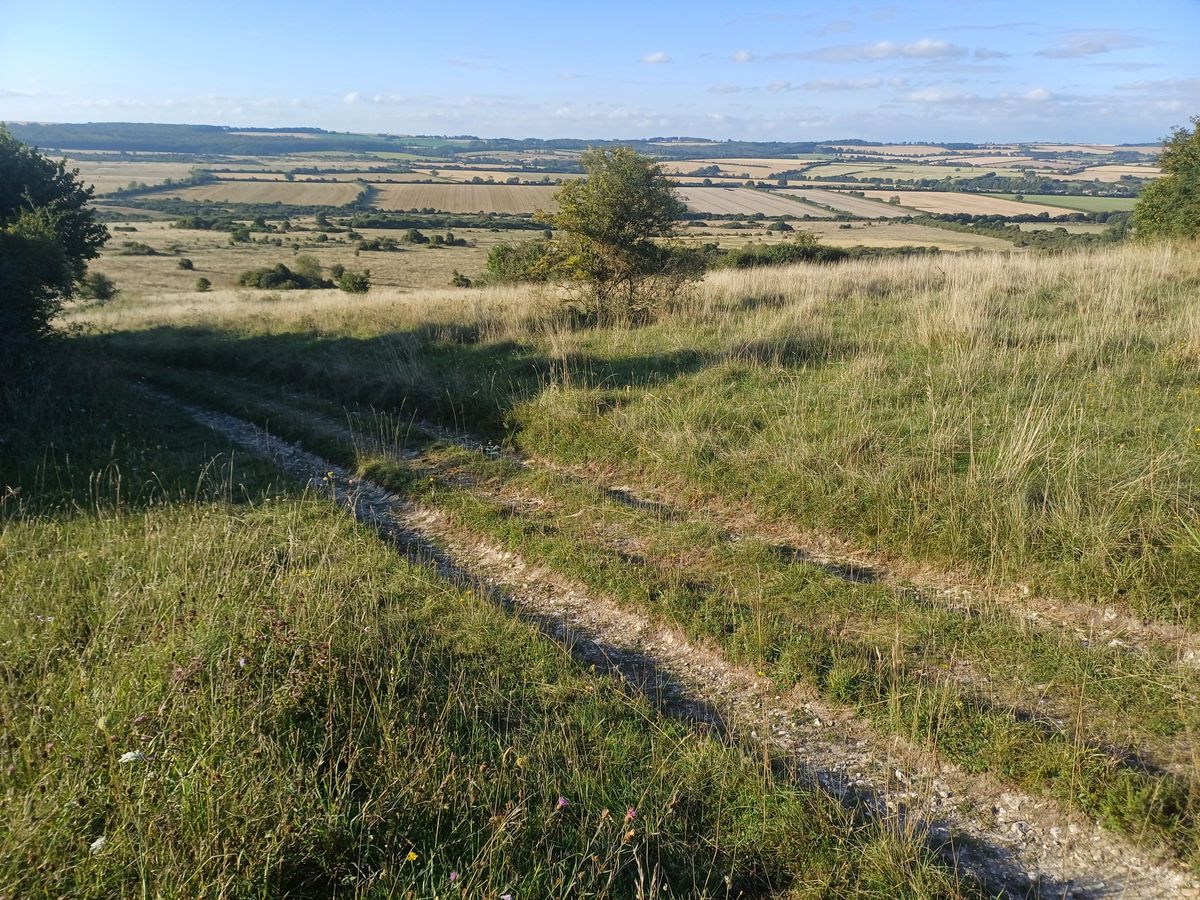 Up on the Downs.