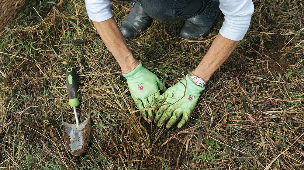 Gardening Workshop | Seed Starting