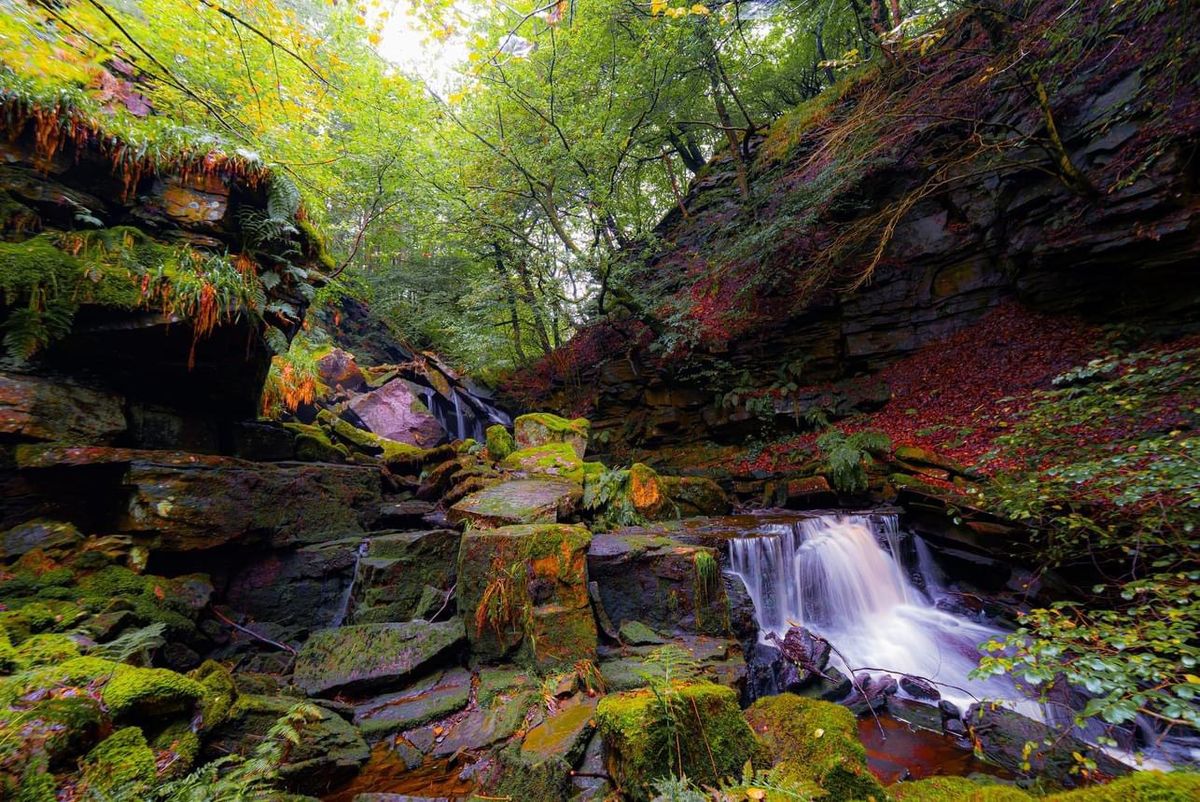 Chasing Waterfalls: Healey Dell, Rochdale 