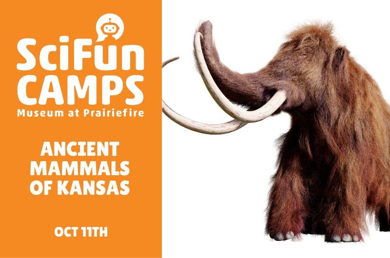 SciFun Camp: Ancient Mammals of Kansas