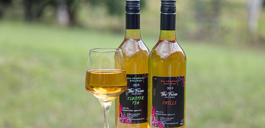 Wine Tasting - 5 locally made fruit wines paired with 5 entree sized meals