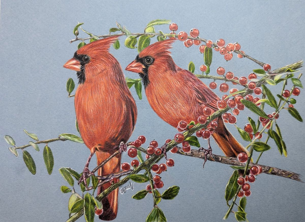 Vibrant Cardinals in Colored Pencils on a Toned Surface with Oksana Burr