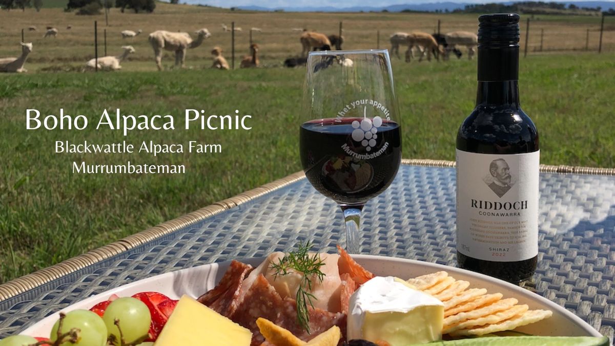 Boho Alpaca Picnic