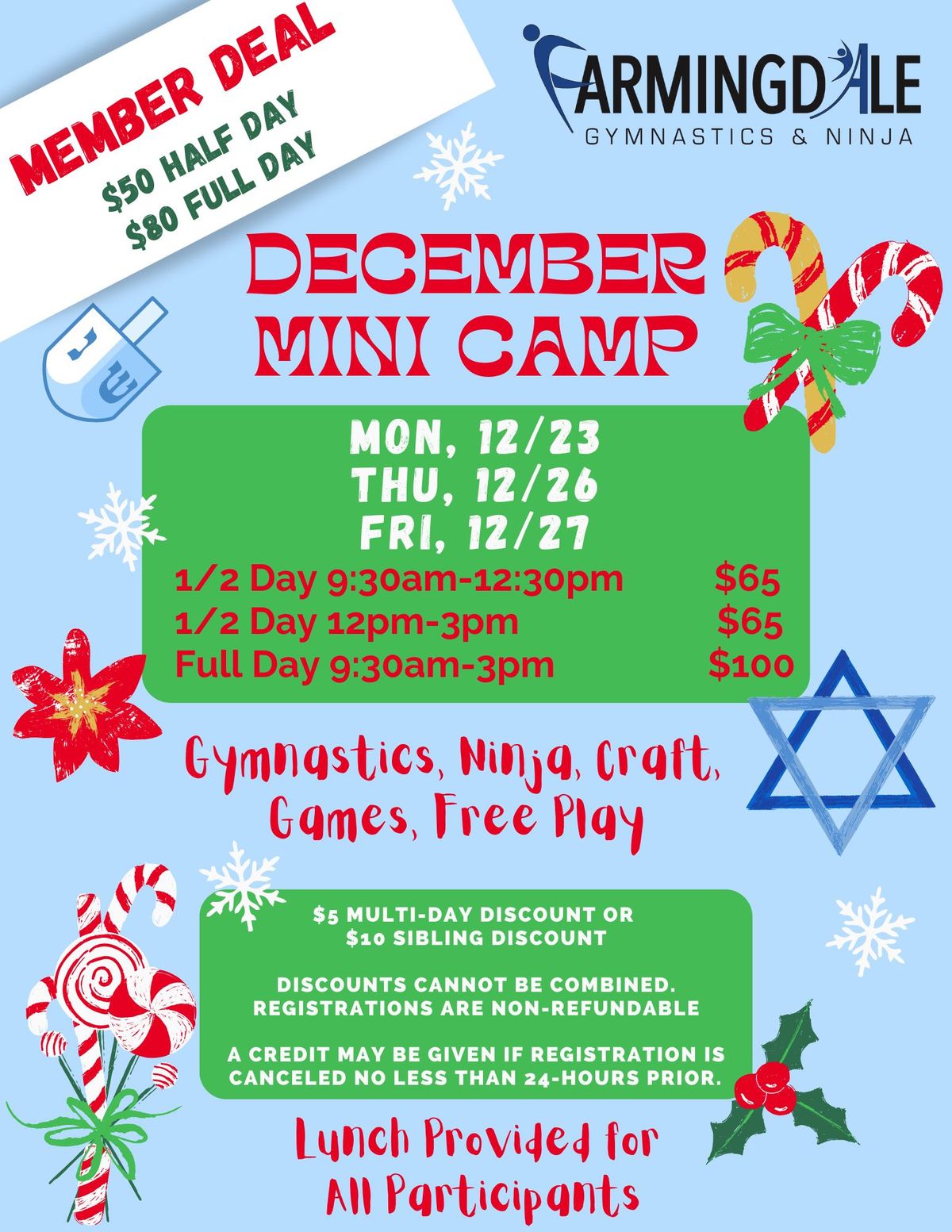 Holiday Mini Camps