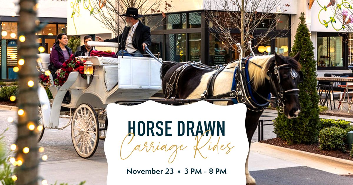 Horse Drawn Carriage Rides during Light the Square