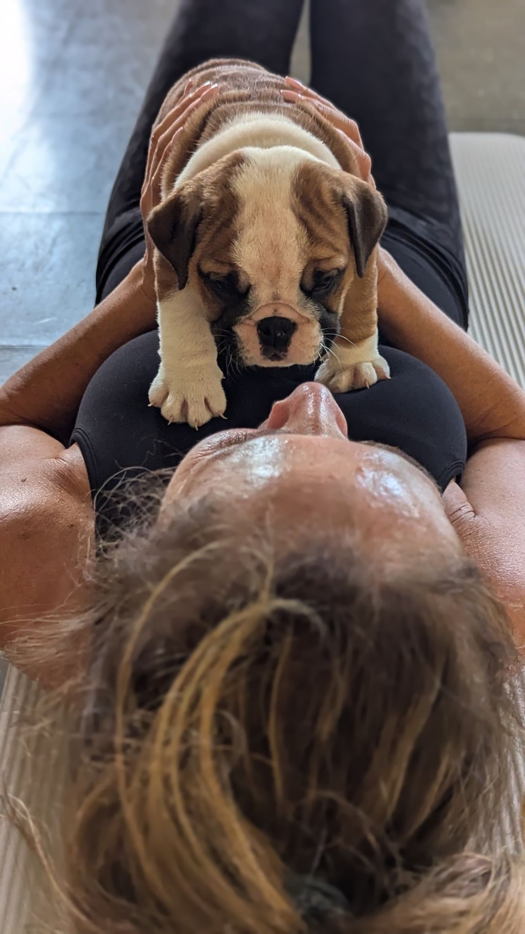 Puppy Yoga - Last chance for Bulldogs! Code SUMMER for discount!