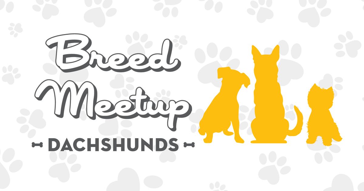 MUTTS\u00ae Fort Worth - Breed Meetup: Dachshunds