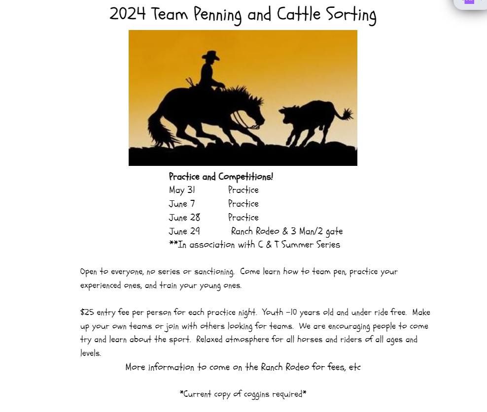 2024 Team Penning and Cattle Sorting