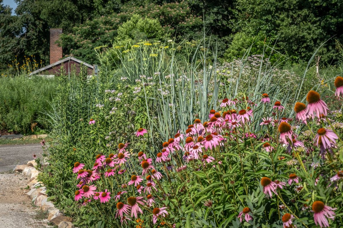 Knoxville Botanical Gardens Area Litter Pick-Up