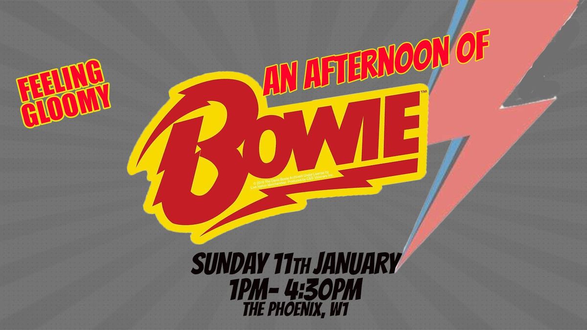 An Afternoon of David Bowie - Sun 11th January, 1pm-4:30pm