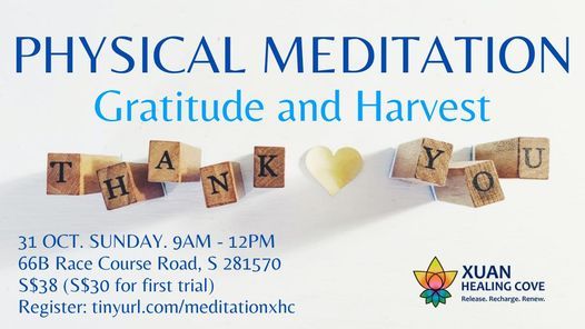 Physical Meditation Class: Gratitude and Harvest