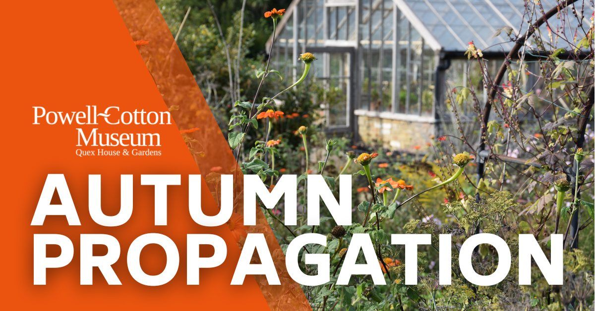 Autumn Propogation