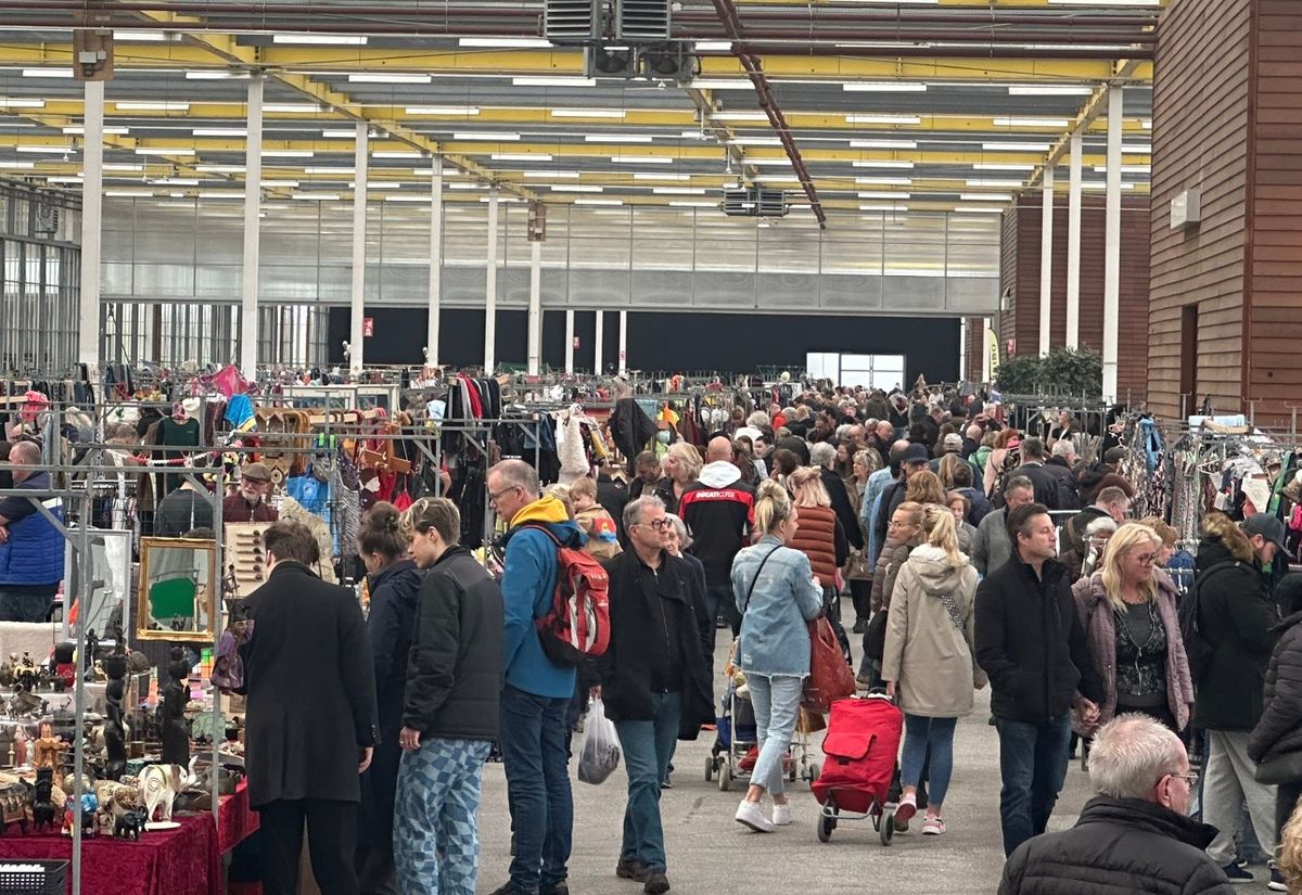 REUZE VLOOIENMARKT Vijfhuizen  22+23 februari 