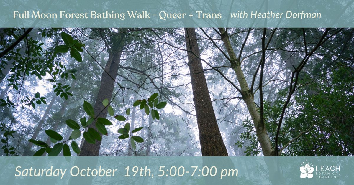 Queer and Trans Community Forest Bathing with Heather Dorfman, LMSW