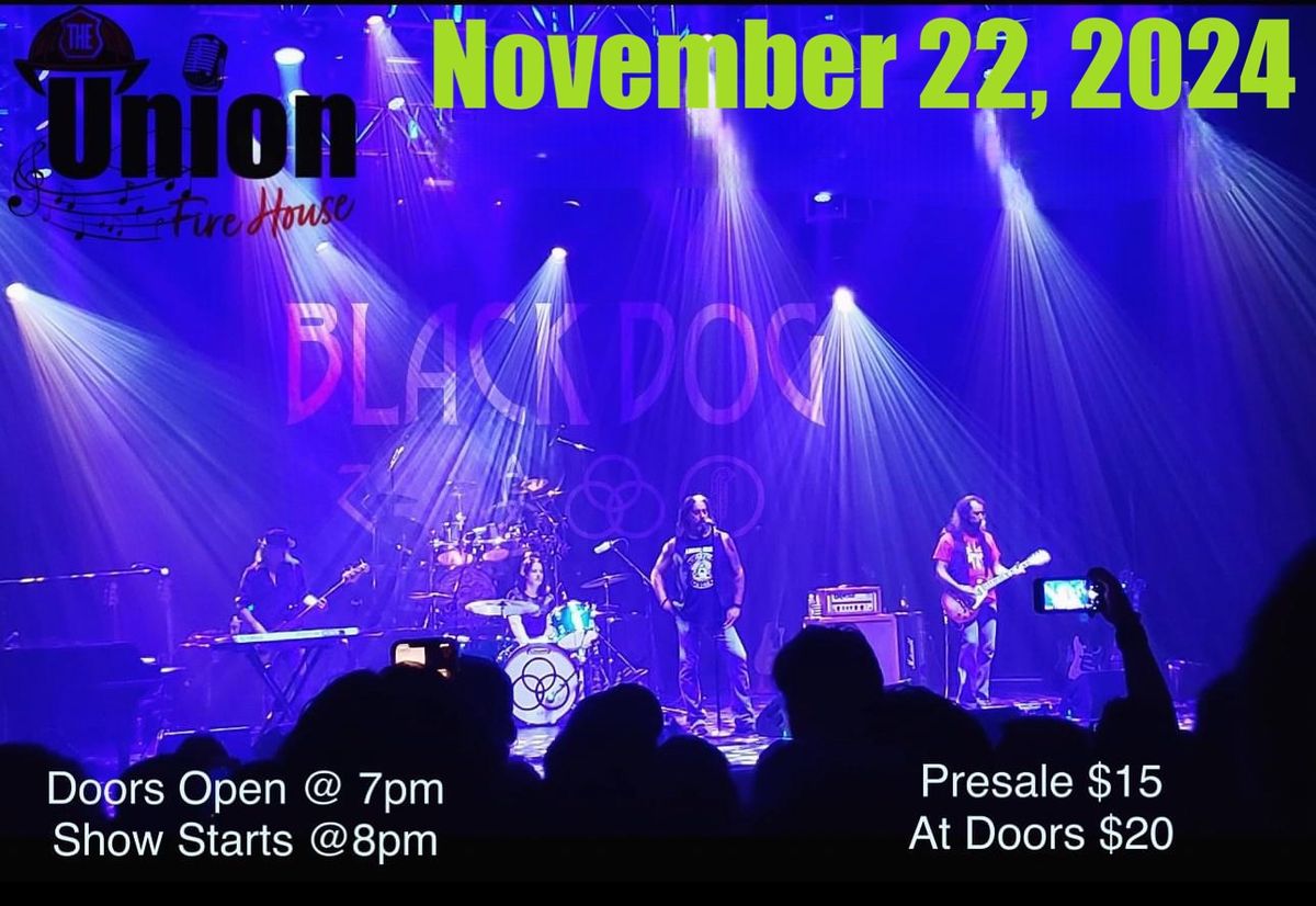 Black Dog Band Live