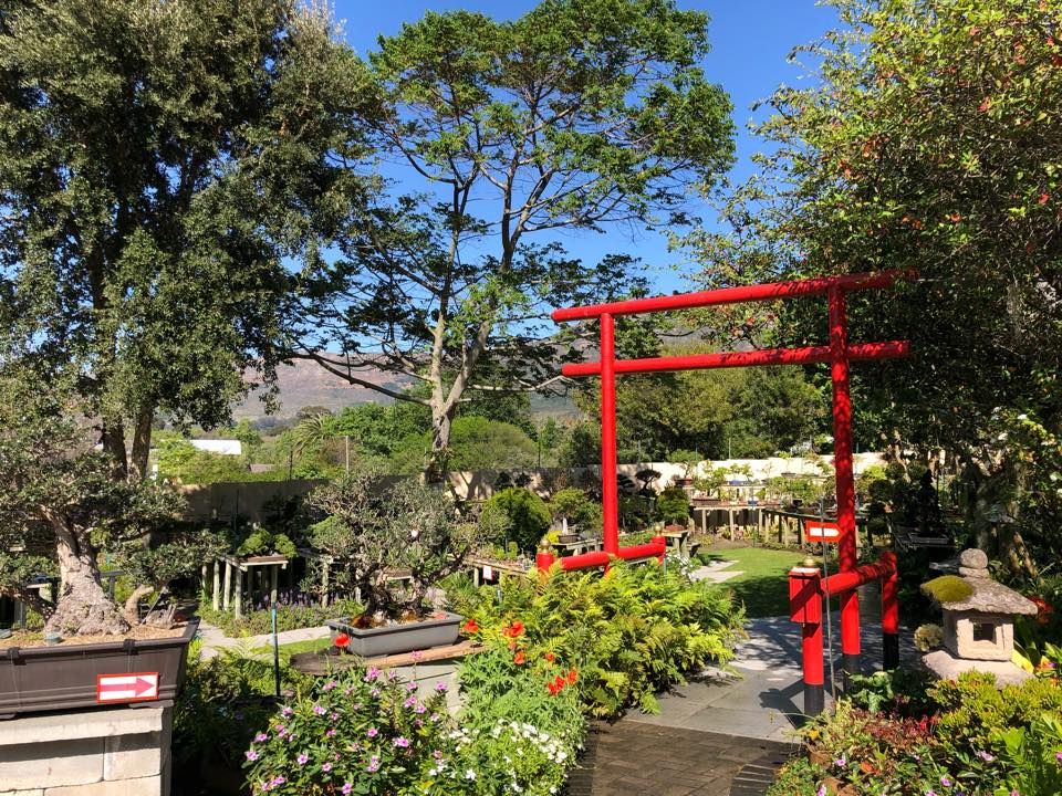 Cape Bonsai Kai Show