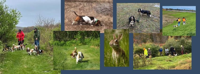 Battlefield Beagle Club in VA HPT