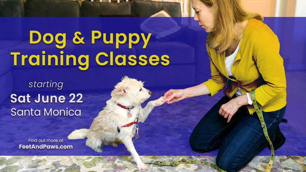  Dog & Puppy Training Classes Start Sat June 22