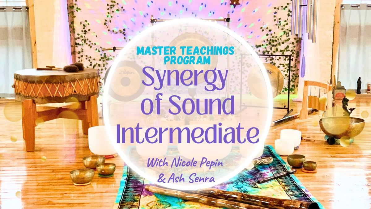 Synergy of Sound Master Teachings Program Intermediate Class