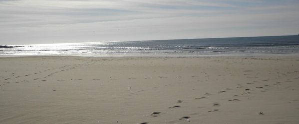 BEACH CLEAN-UP