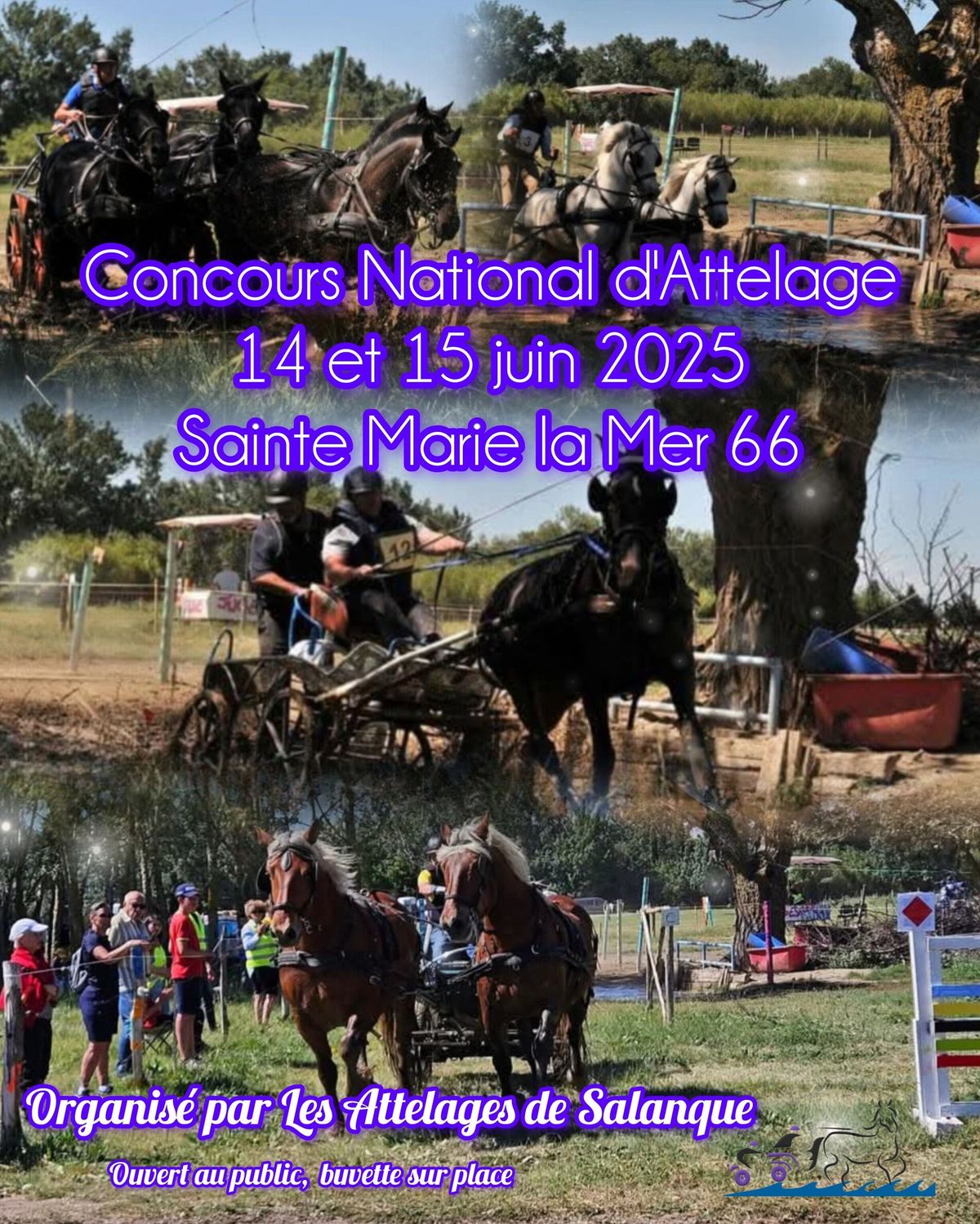 concours complet d'attelage