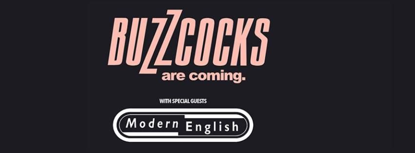 Buzzcocks & Modern English - Tauranga, New Zealand