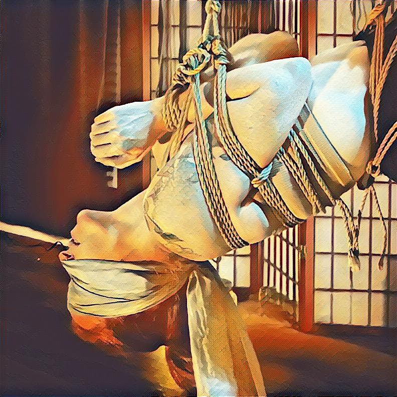 Shibari: Exploring the Box Tie