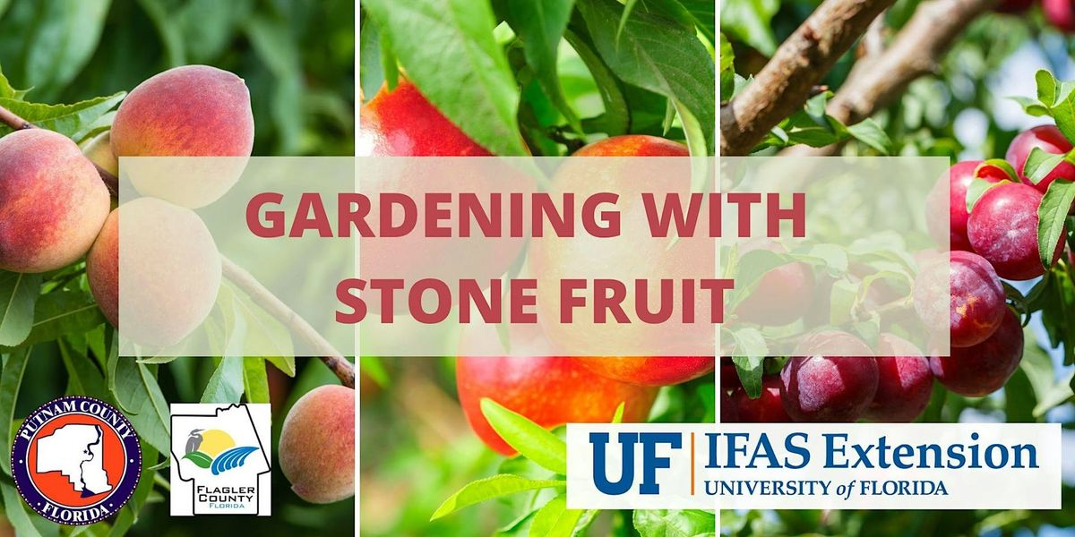 Gardening with Stone Fruit