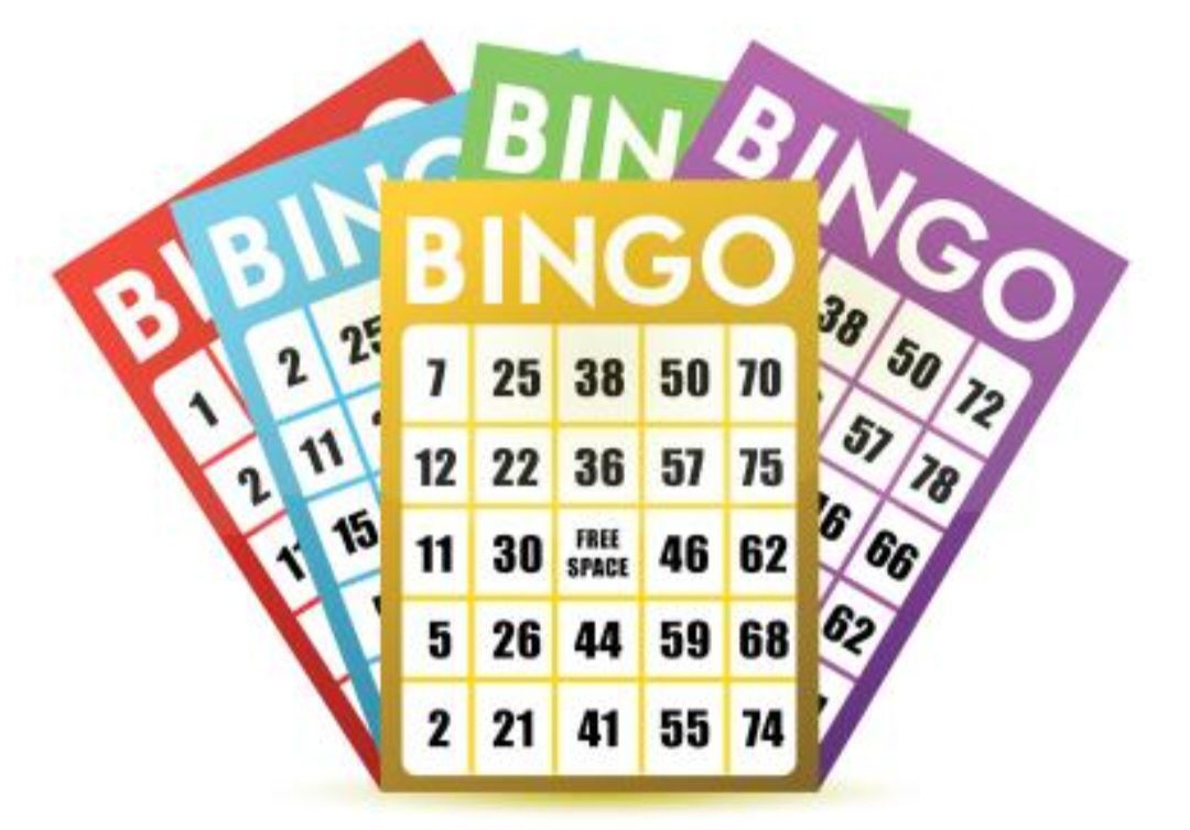 Books and Bingo!