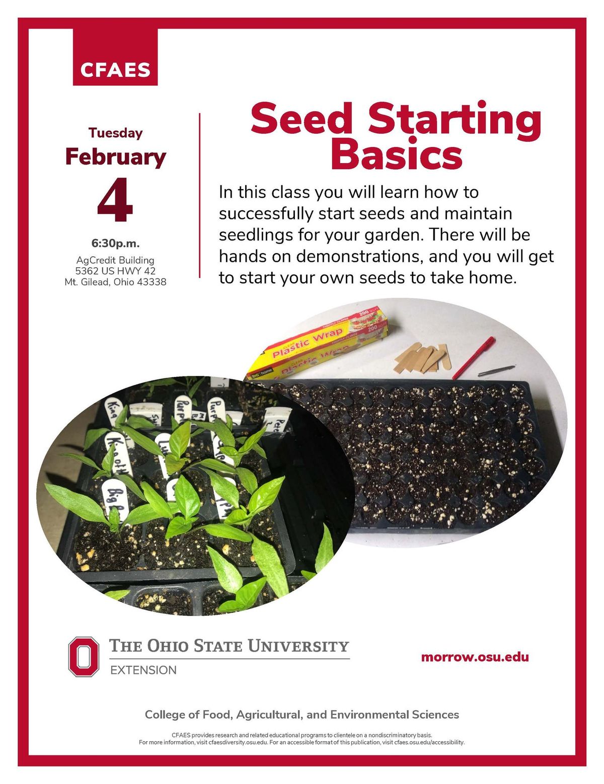 Seed Starting