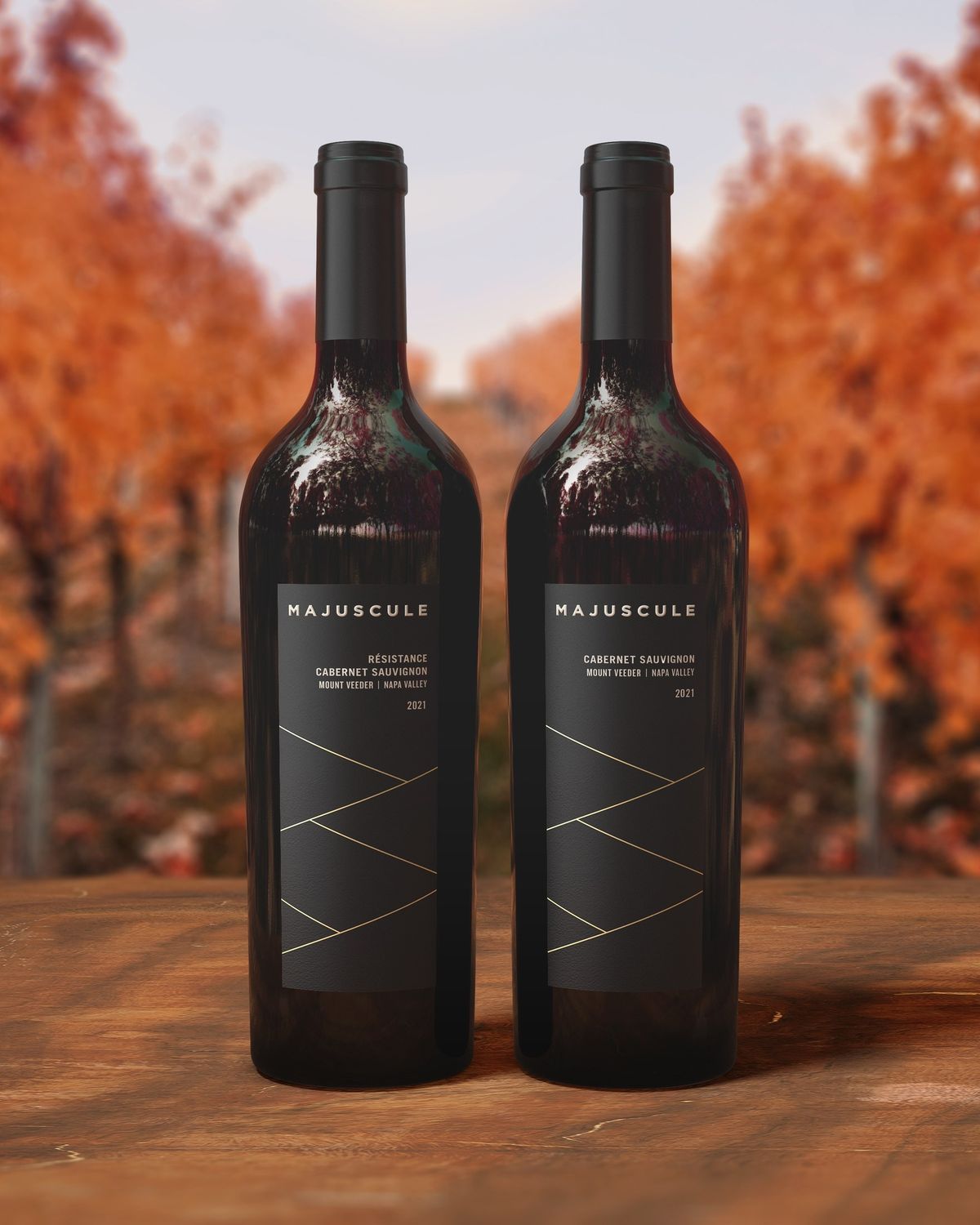 Fall Wine Release Tasting in Phoenix