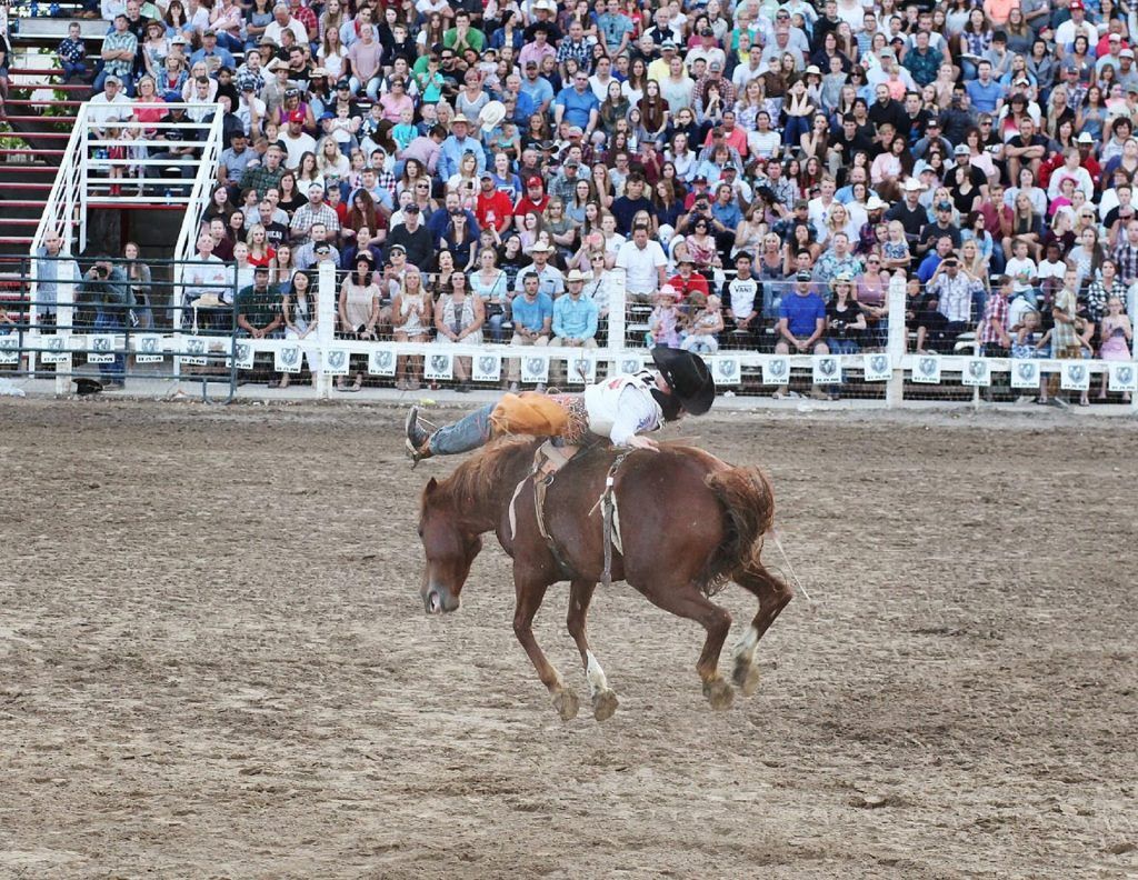 Strawberry Days Rodeo