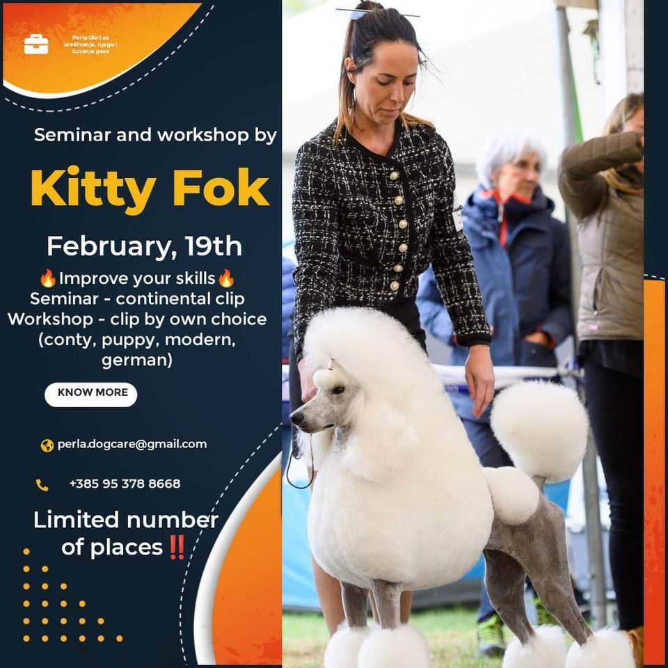 Poodle seminar and workshop by Kitty Fok