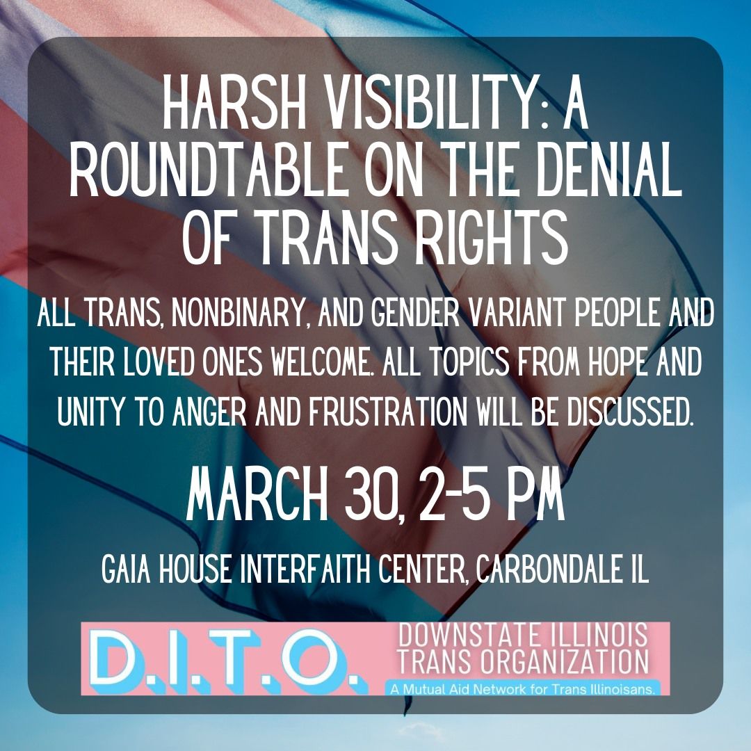 Harsh Visibility: A Roundtable on the Denial of Trans Rights