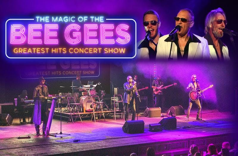 Magic Of The Bee Gee's