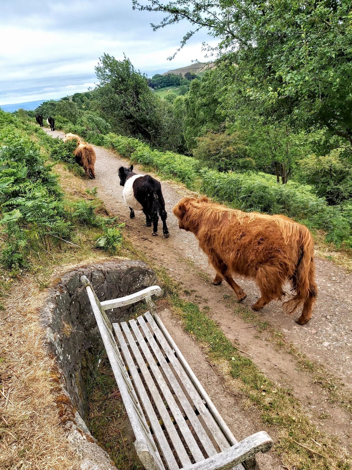 17 HILLS in 3 WALKS - Malvern Hills (Block of 3 Walks)